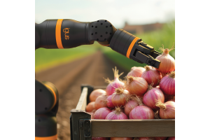 Award for ReBeL cobot